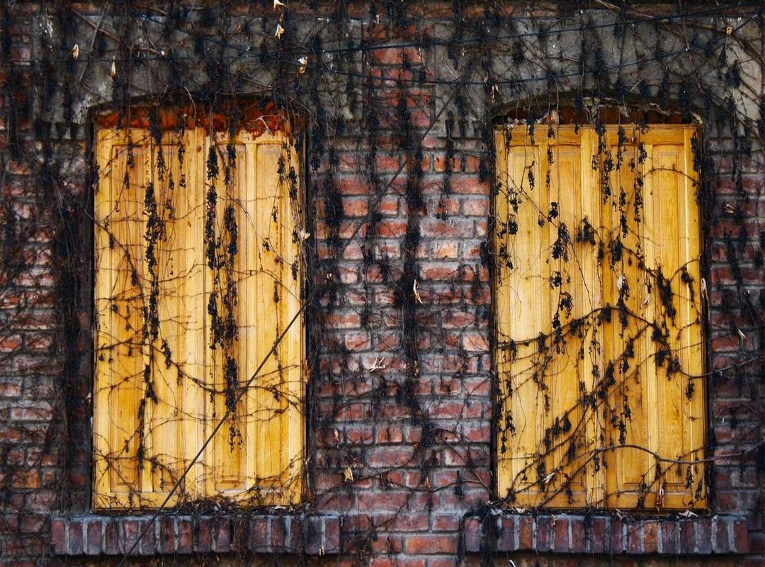 Gathering Your Supplies: What You'll Need to Build Your Model