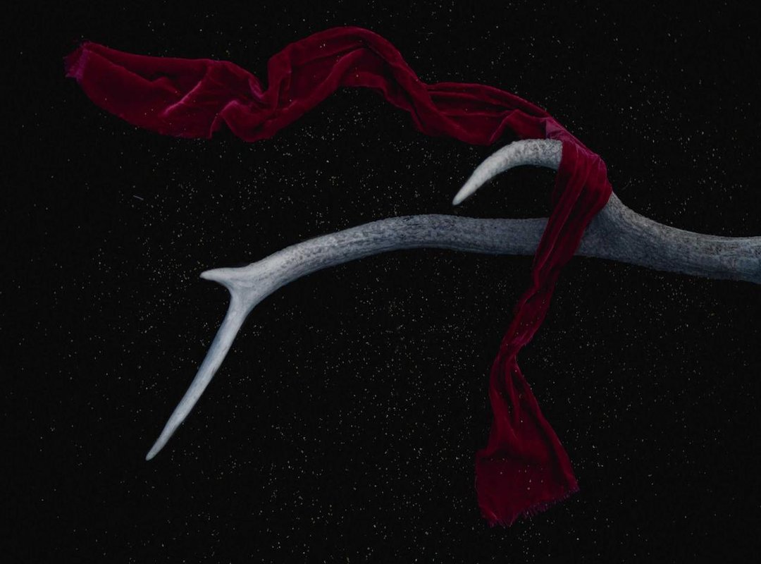 Your Crazy Hair Day Toolkit: Must-Have Supplies