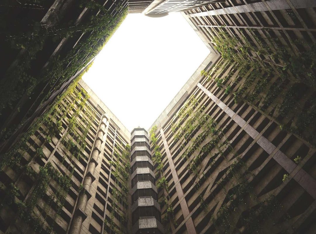 The Transformation: Understanding the Procedures