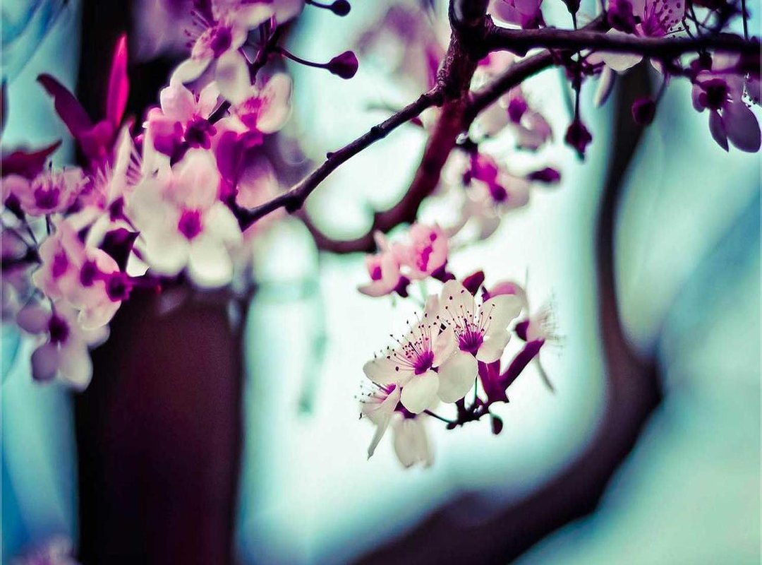 Best All-in-One Value: The Evercade EXP