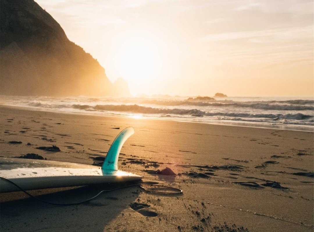 Navigating the Portal: Key Features for Parents and Students